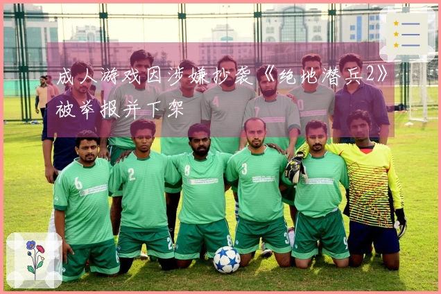 成人游戏因涉嫌抄袭《绝地潜兵2》被举报并下架