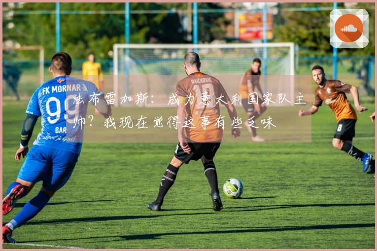 法布雷加斯：成为意大利国家队主帅？我现在觉得这事有些乏味