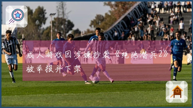 成人游戏因涉嫌抄袭《绝地潜兵2》被举报并下架