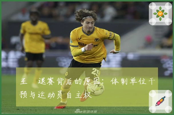 王濛退赛背后的原因：体制单位干预与运动员自主权